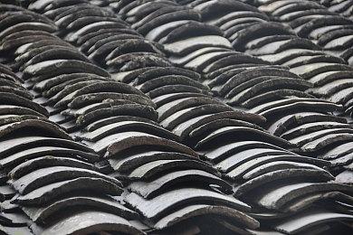 《巫师布鲁克》仍在开发中 开发商没有加班所以进展缓慢